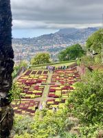 im botanischen Garten