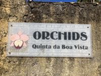 Heute erwartet uns ein Orchideengarten