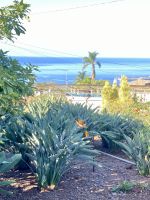 Zuerst ein Blick auf ein Wahrzeichen der Insel