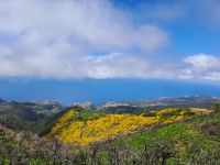 Blick zur Nordküste Madeiras