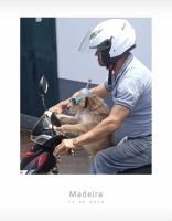 Interessanter Passsagier