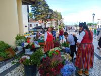 Blumenverkäuferinnen in traditioneller madeirischer Tracht