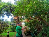 Miguel erklärt uns die Botanik