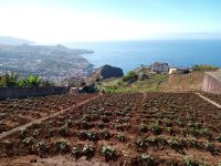 Landwirtschaftliche Bewirtschaftung an den Steilhängen
