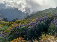 Wetterumschwung im Hochgebirge Madeiras