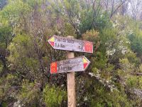 Madeira - Wanderung Fanal