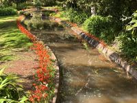 Madeira - Blandy`s Garten