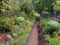 Madeira - Blandy`s Garten