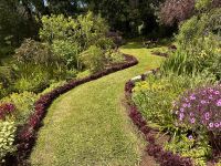 Madeira - Blandy`s Garten