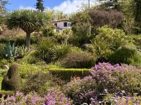 Madeira - Blandy`s Garten