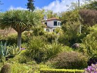 Madeira - Blandy`s Garten