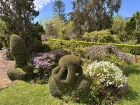 Madeira - Blandy`s Garten