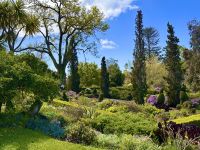 Madeira - Blandy`s Garten