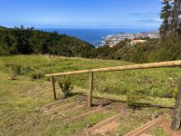 Madeira - Blandy`s Garten 