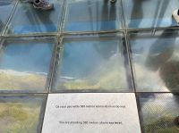 Madeira - Camara de Lobos