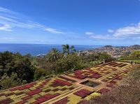 Madeira - Funchal, Botanischer Garten 
