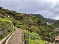 Madeira - Levada-Wanderung
