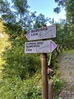 Madeira - Wanderung nach Monte 