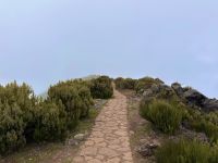 Madeira - Wanderung zum Pico do Ruivo