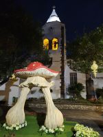 Dekoration zum Blumenfest/Santa Cruz/Madeira