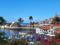 Blick auf Câmara de Lobos /Madeira