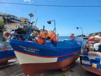 Fischerboote in Câmara de Lobos /Madeira