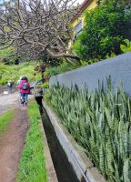 Levada do Marocos/Madeira