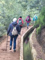 Levada do Marocos/Madeira