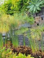 Botanischer Garten/Funchal/Madeira