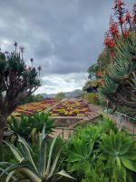 Botanischer Garten/Funchal/Madeira
