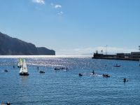 Hafen von Funchal/Madeira