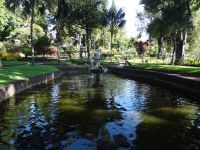 Funchal - Quinta Vigia