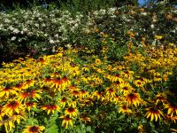 Funchal, Quinta Vigia - Sonnenhut