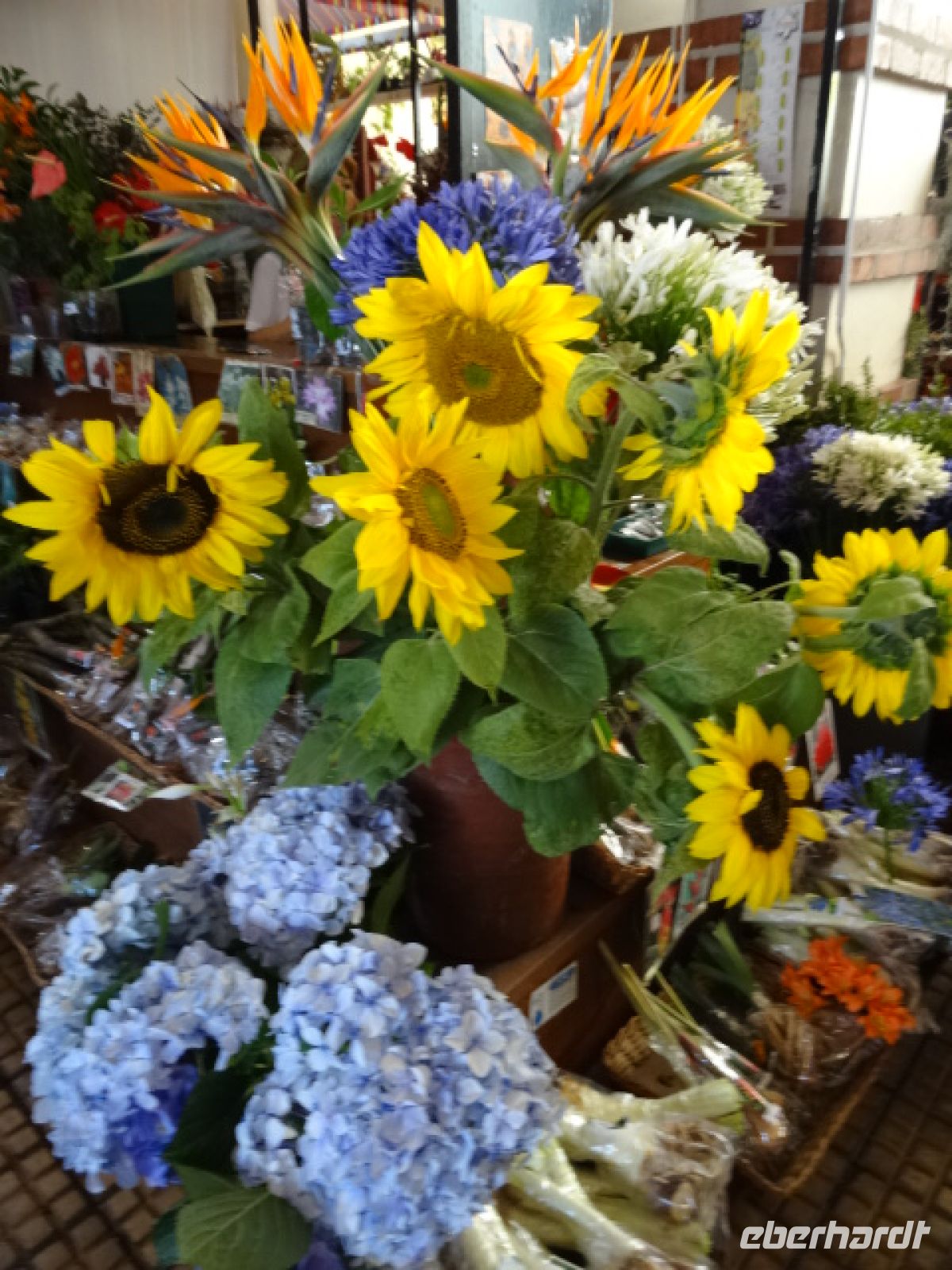 Funchal - Markthalle