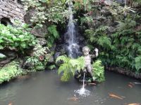 Monte - Tropischer Garten