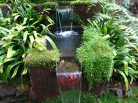 Monte - Tropischer Garten