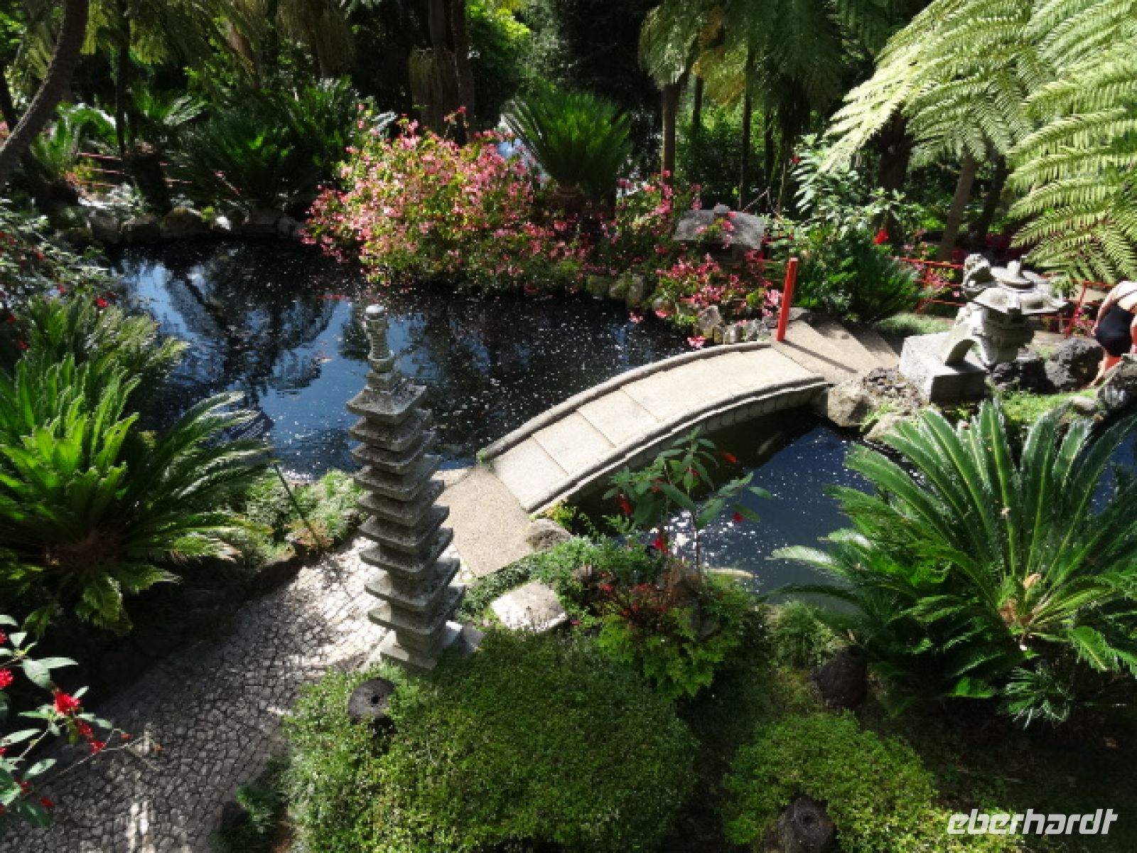 Monte- Tropischer Garten