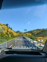 Blick aus unserem Reisebus mit Ginster gesäumte Straßen/Madeira