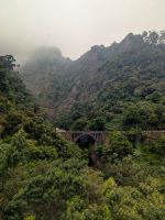 Ponte da Ribeira d´Ametade im Nebel/ Madeira