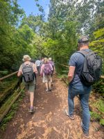 Wanderung am Pico das Petras/Madeira