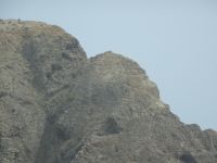 Gorillakopf auf Porto Santo