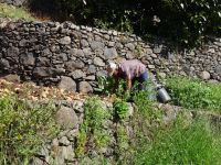 Levada Wanderung - Bauer bei der Arbeit