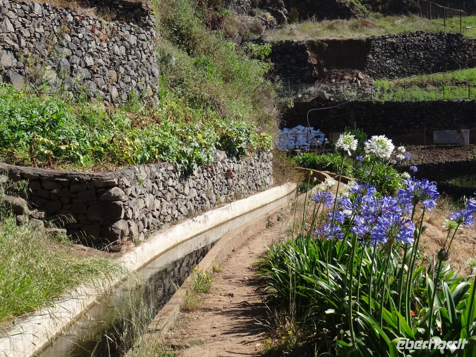 auf der Levada do Norte