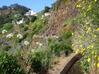 Levada Wanderung