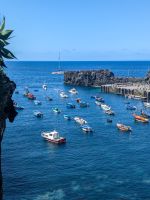 Bunte Fischerboote in Camara de Lobos/Madeira