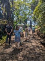 Unsere Gruppe im Botanischen Garten Funchal/Madeira