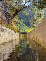 Levada von Marocos/Madeira