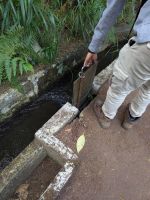 Claudio zeigt uns wie die Felder bewässert werden/Levada von Marocos/Madeira