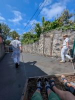 Fahrt mit dem Korbschlitten in Monte/Madeira