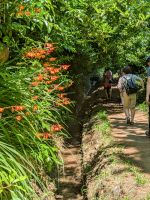 Wanderung entlang der Levada da Serro do Faial/Madeira